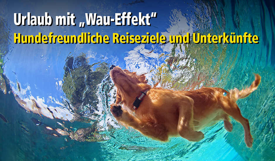 Urlaub mit Hund